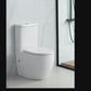 Back to Wall Rimless Toilet Suite with Streamilne Flush (Gloss White)