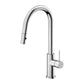 Mecca Chrome Pull Out Sink Mixer With Vegie Spray Function