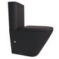 Snubby Back to Wall Rimless Toilet Suite Matte Black